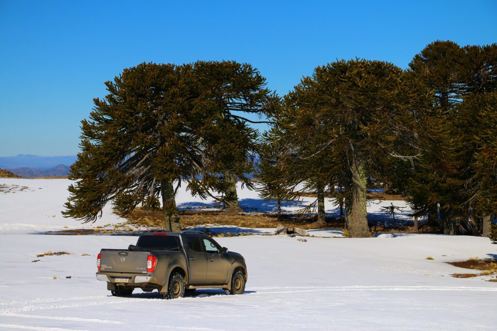 Travesía 4x4 invernal Villa Pehuenia - Patagonia