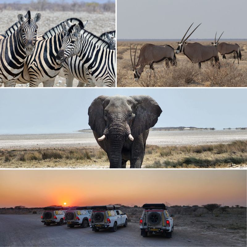 Travesía 4x4 Namibia - Desierto Namib y Etosha