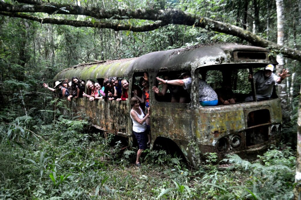 Aventura Por La Selva Misionera Argentina Overland 6228