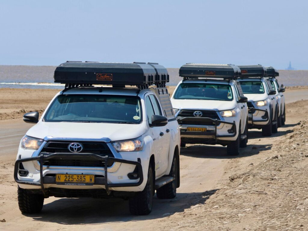 Fauna africana en Etosha